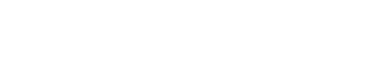 Brady Logo groß für dunkle Hintergründe (transparentes PNG)