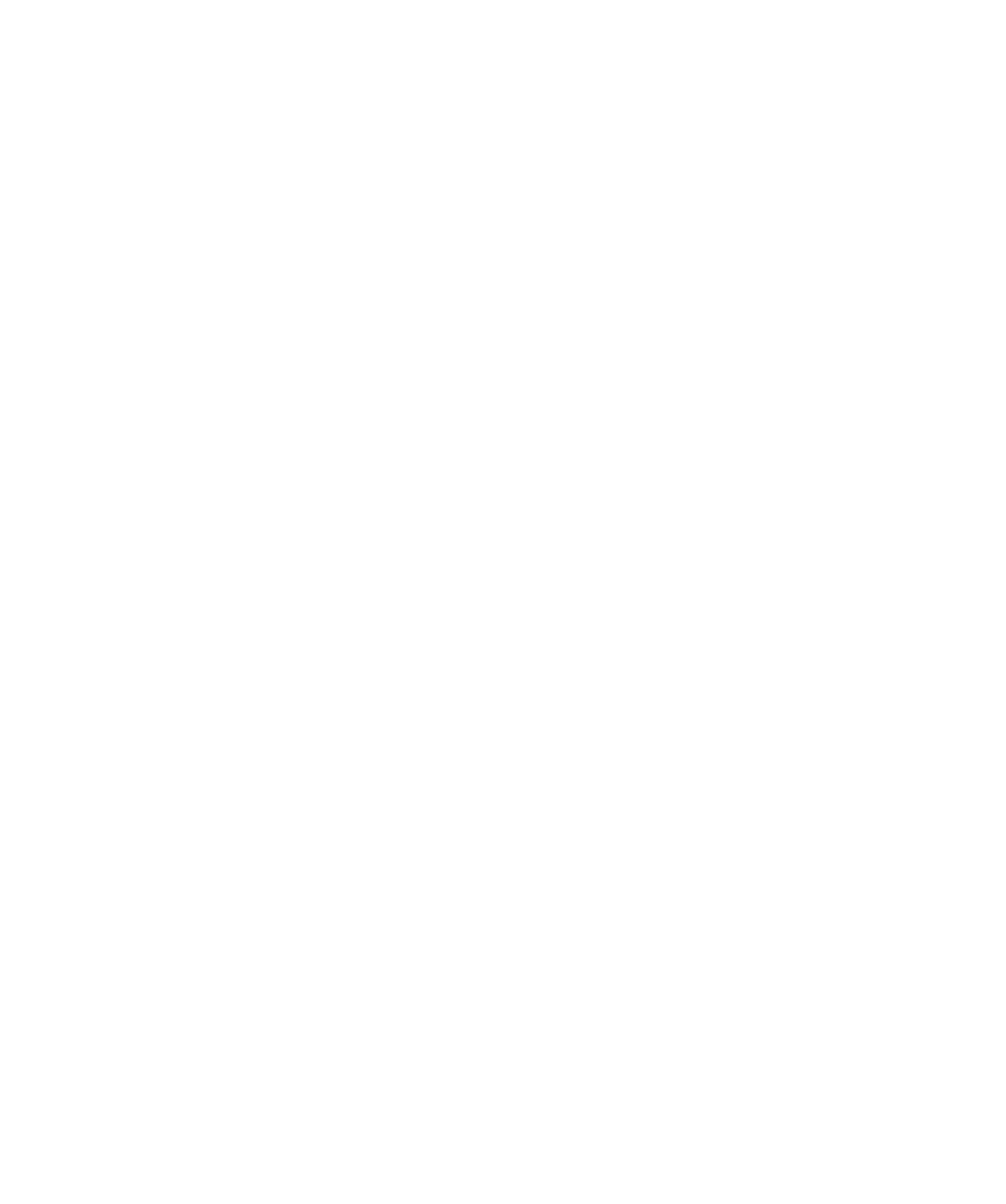 Borregaard logo for dark backgrounds (transparent PNG)