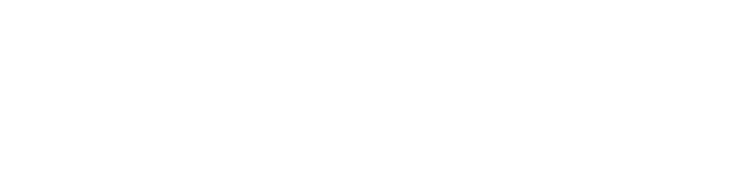Borregaard logo large for dark backgrounds (transparent PNG)