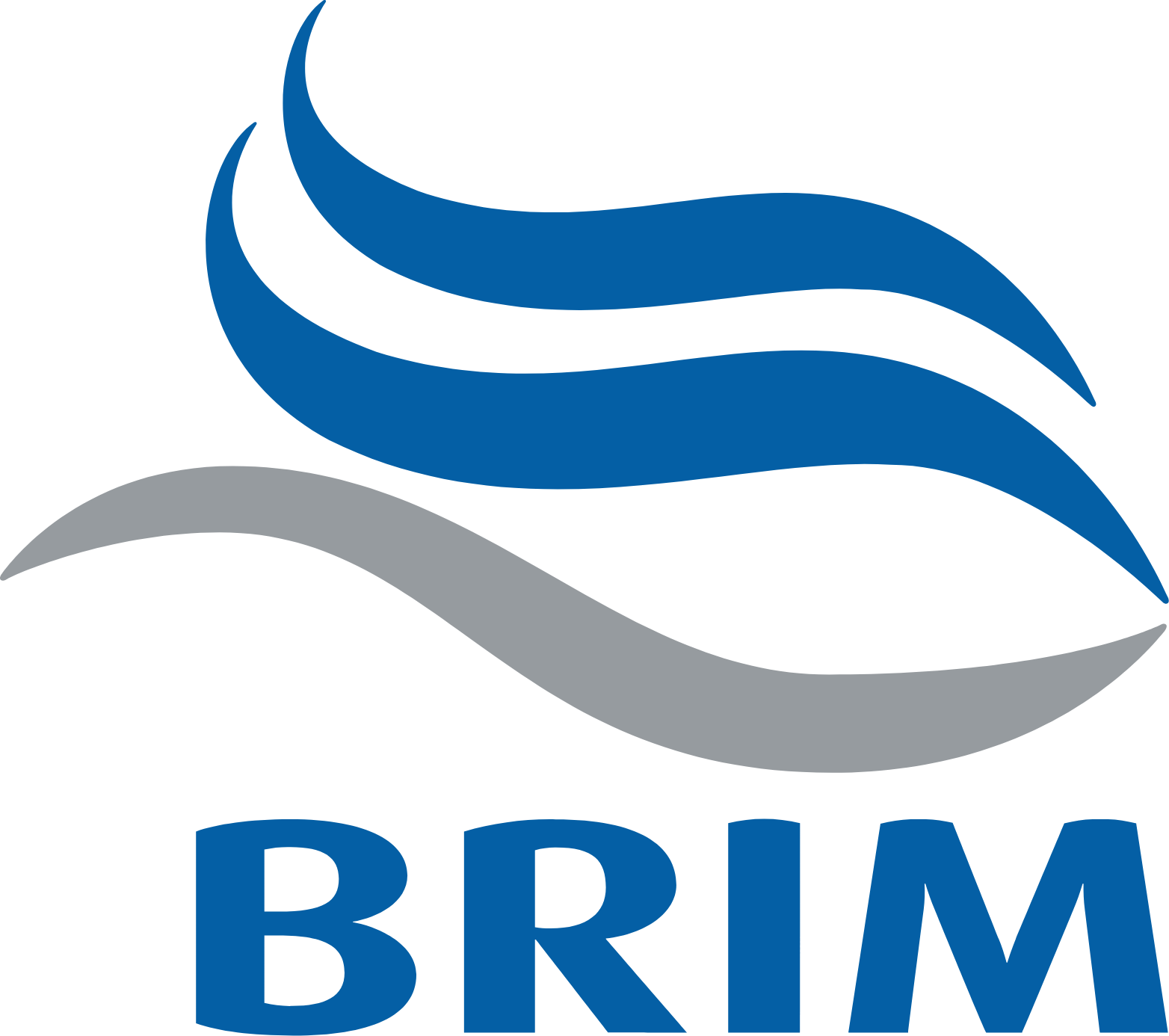 Brim hf. logo large (transparent PNG)