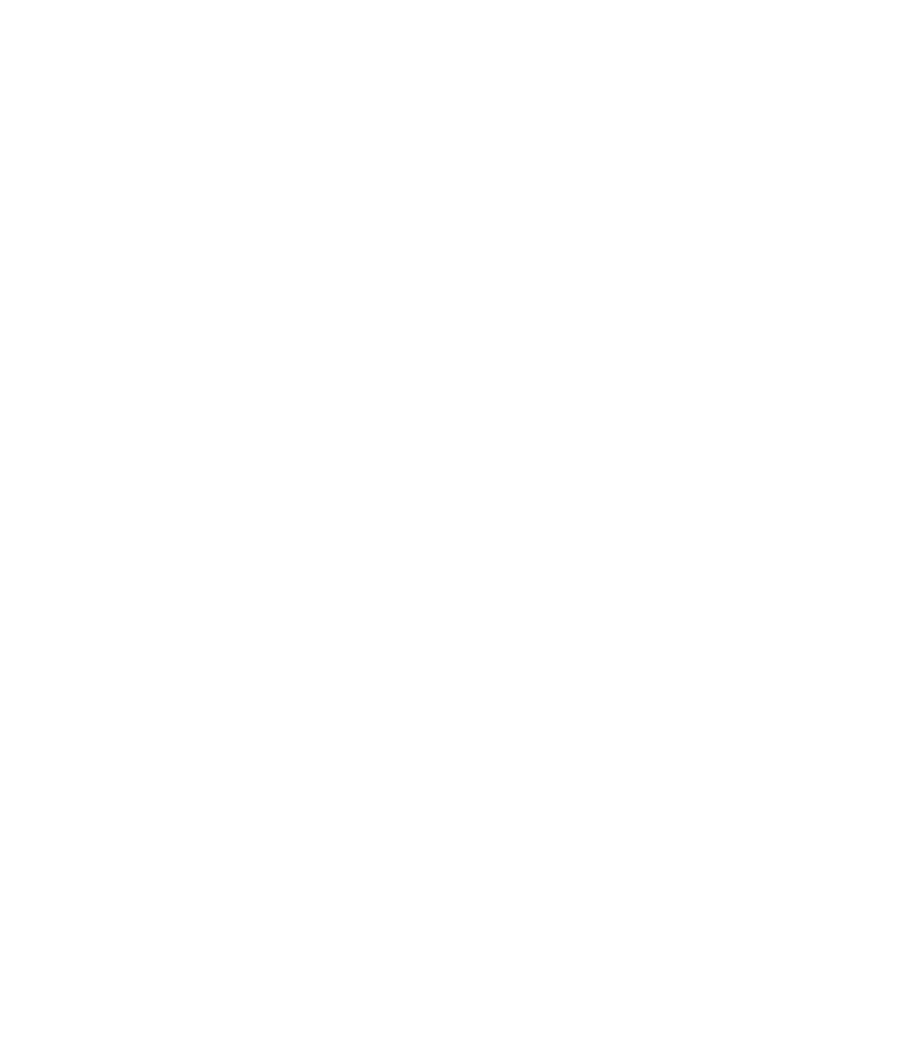 Burkhalter Holding logo on a dark background (transparent PNG)