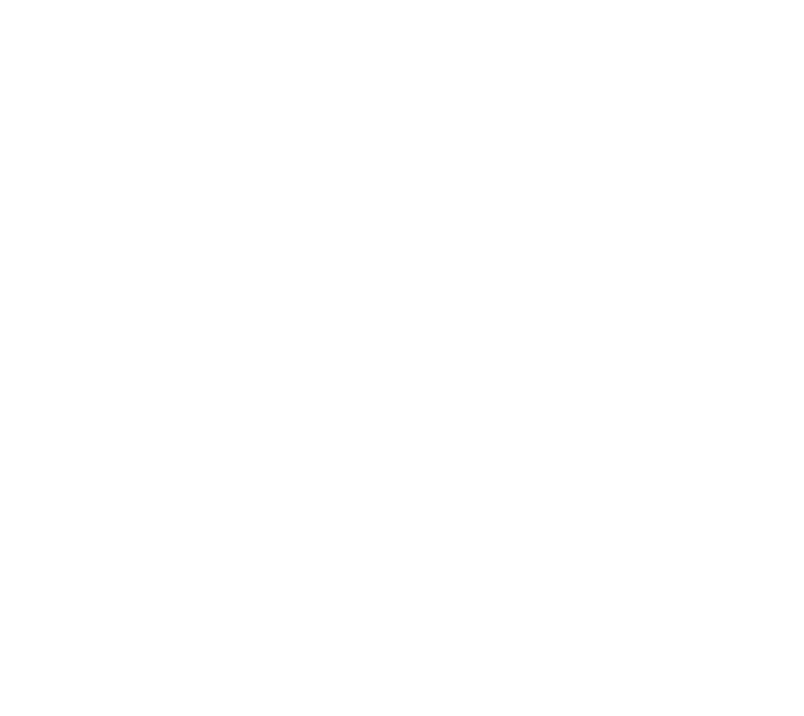 Borealis Foods Logo groß für dunkle Hintergründe (transparentes PNG)