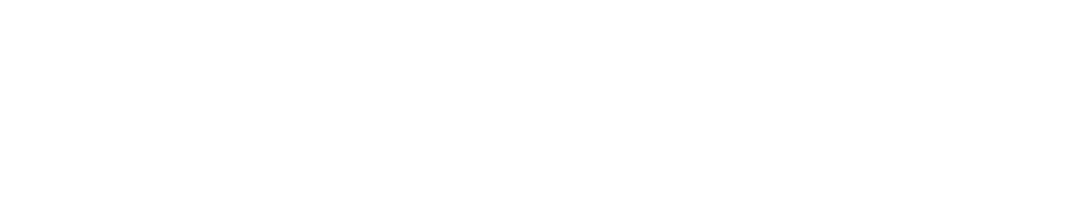 BrightSpring Health Services Logo groß für dunkle Hintergründe (transparentes PNG)