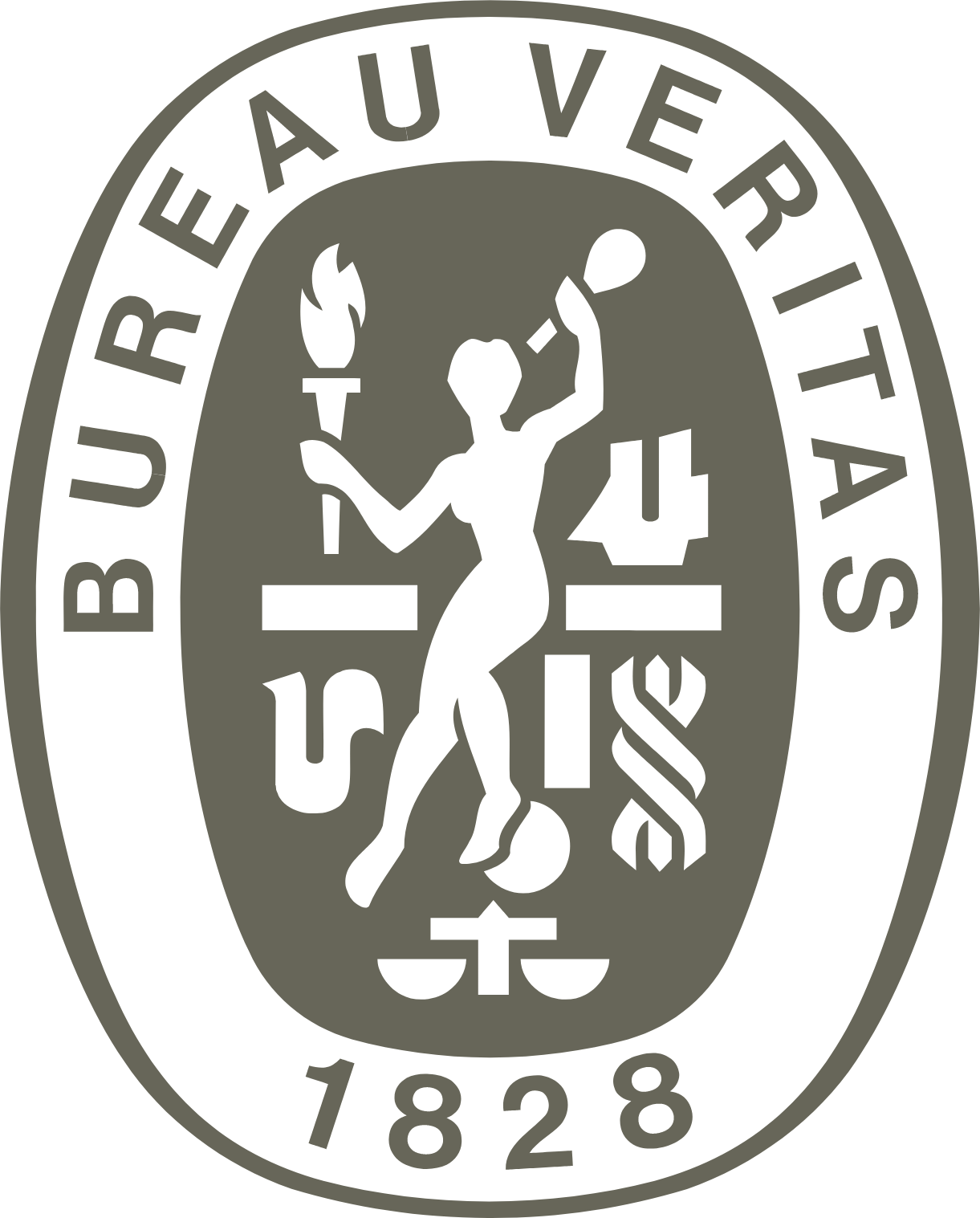 Bureau Veritas logo (PNG transparent)