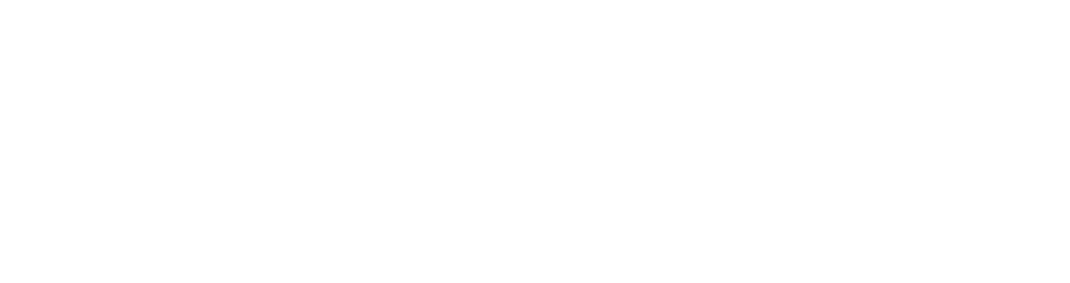 Bravura Solutions Logo groß für dunkle Hintergründe (transparentes PNG)