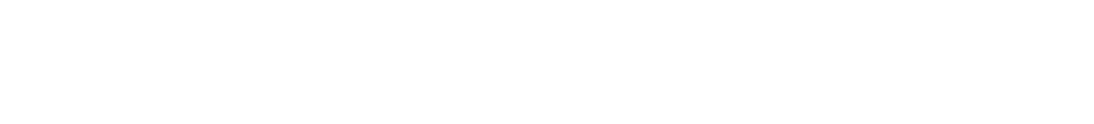 BVZ Holding logo grand pour les fonds sombres (PNG transparent)