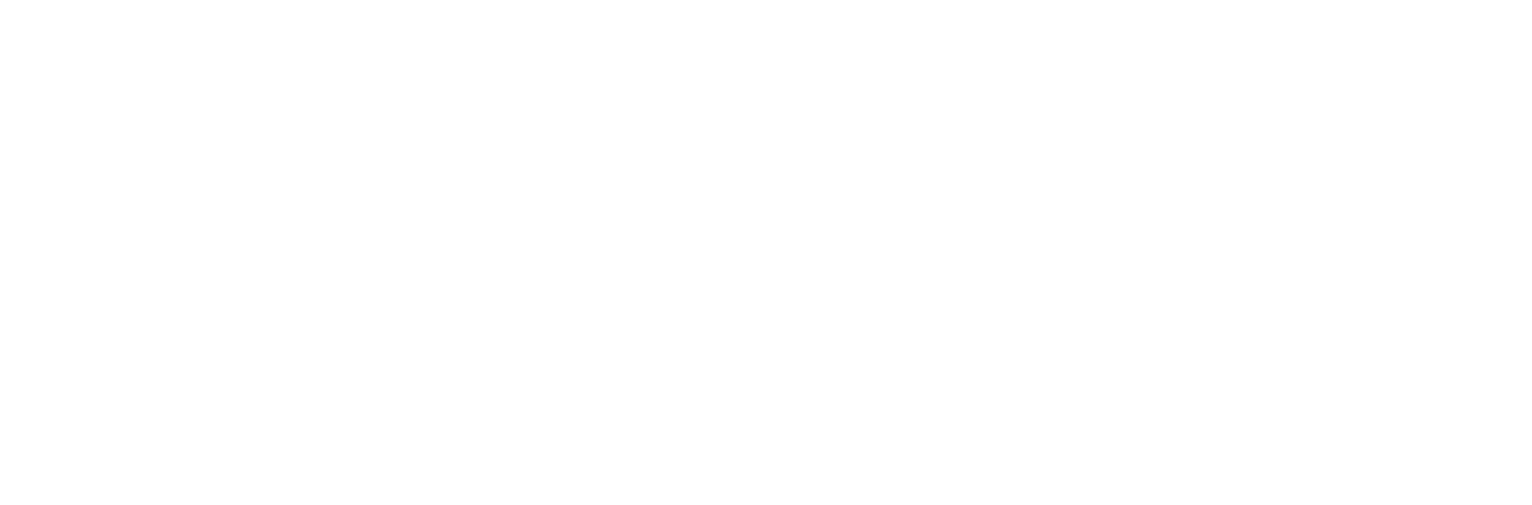 BorgWarner logo for dark backgrounds (transparent PNG)