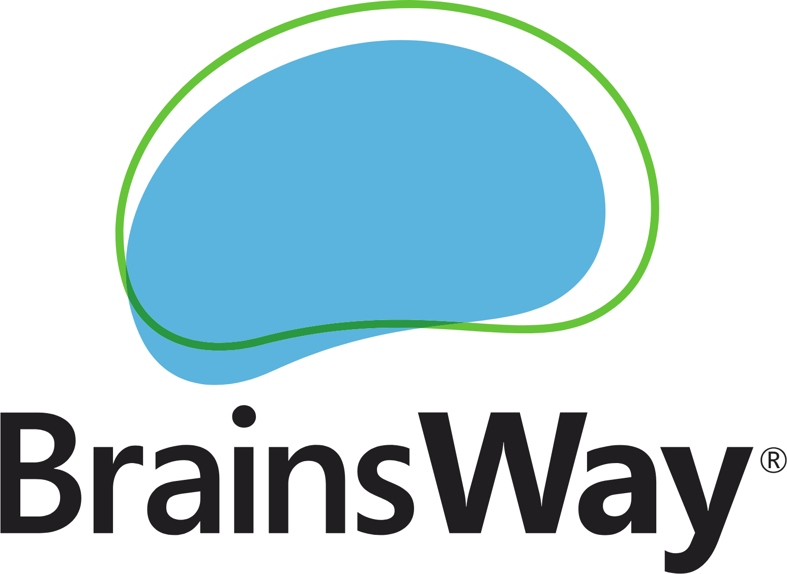 BrainsWay logo large (transparent PNG)