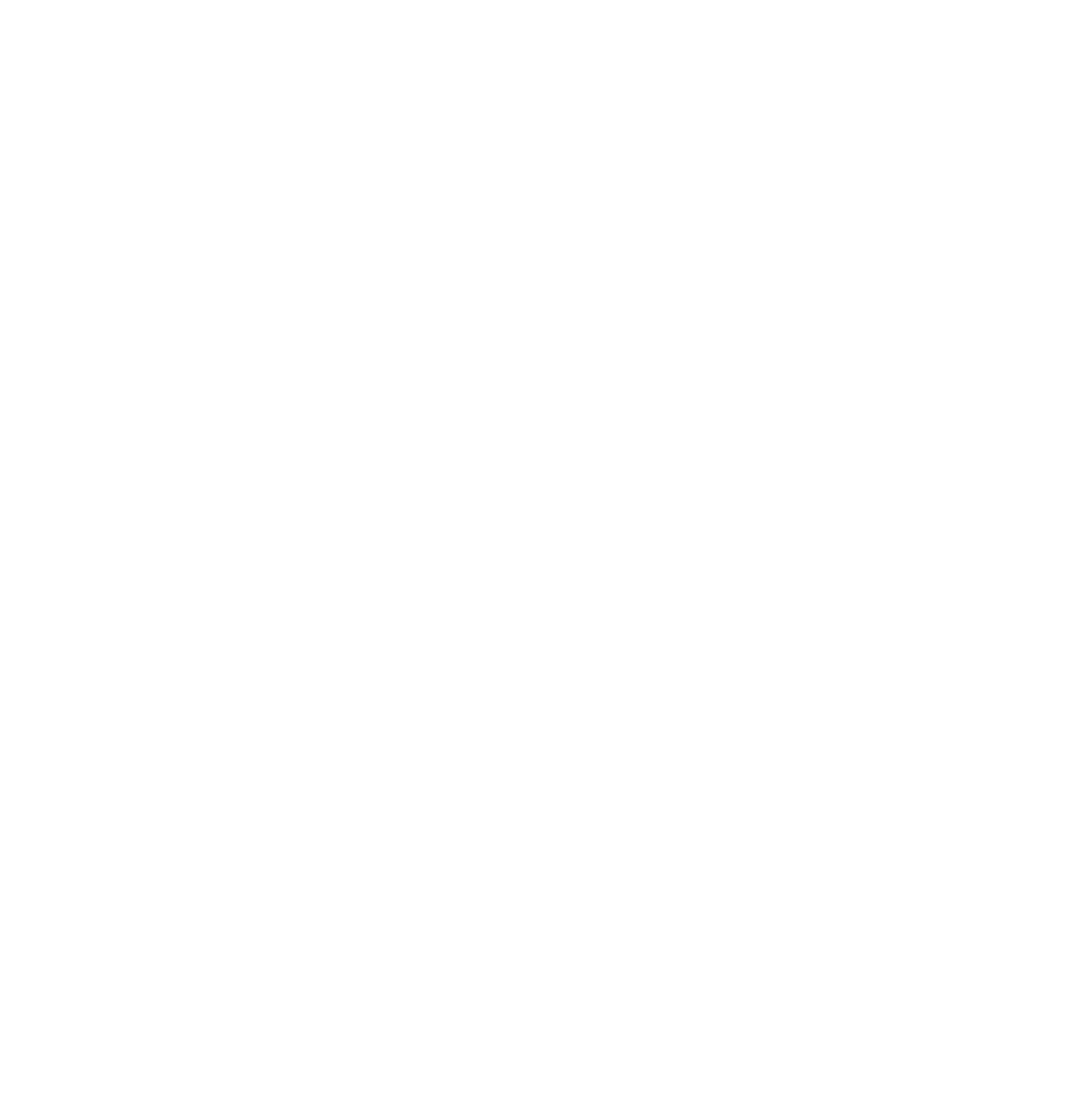 Broadwind logo pour fonds sombres (PNG transparent)