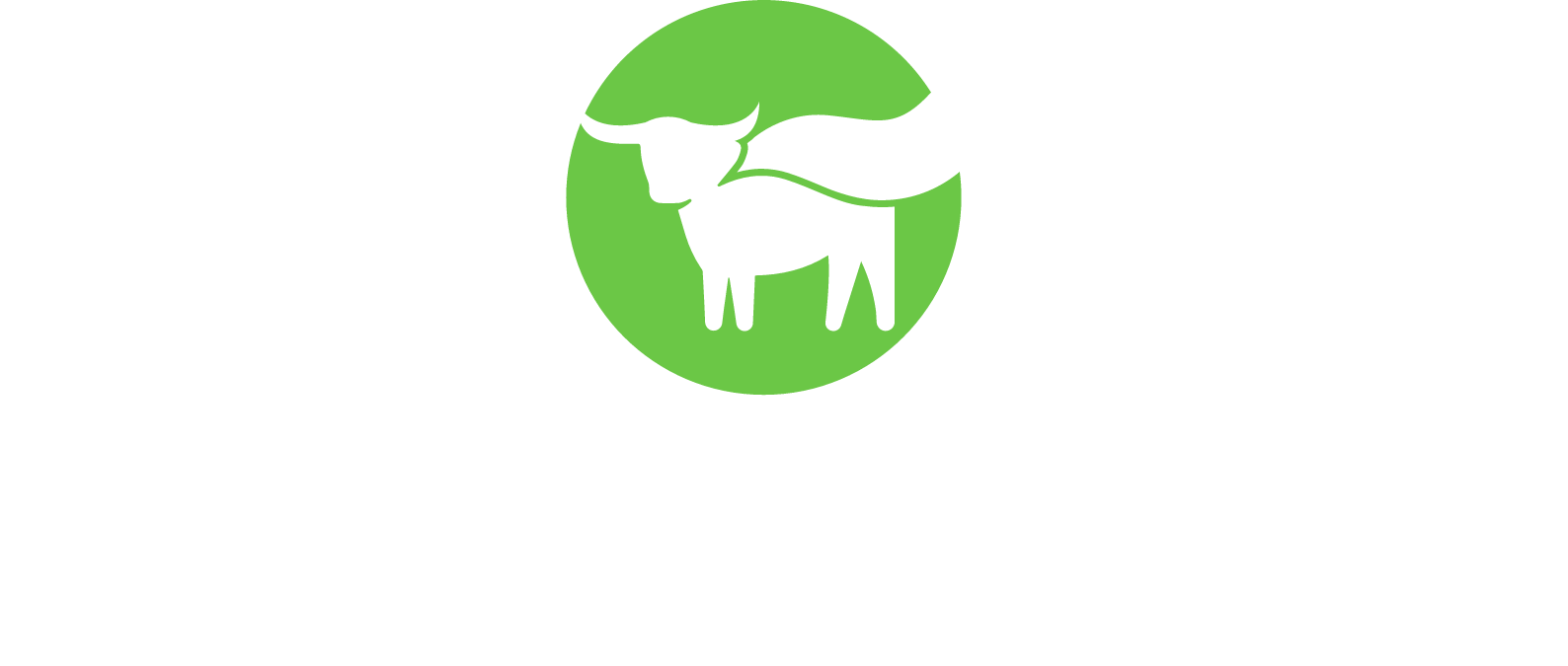 Beyond Meat Logo groß für dunkle Hintergründe (transparentes PNG)