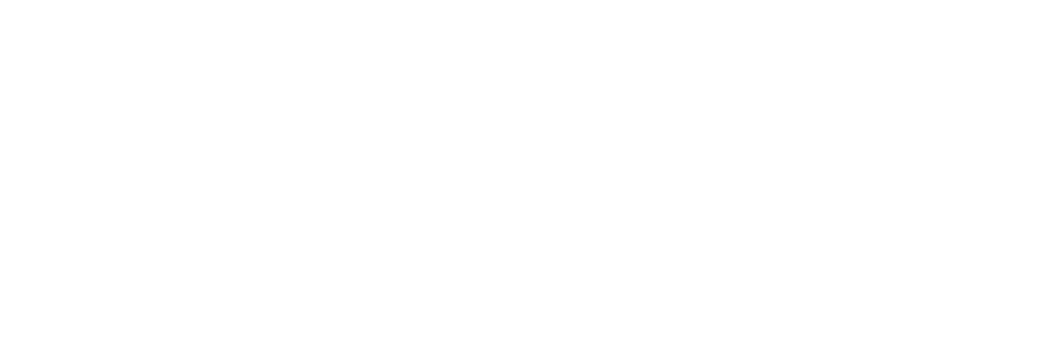 BayWa
 logo for dark backgrounds (transparent PNG)