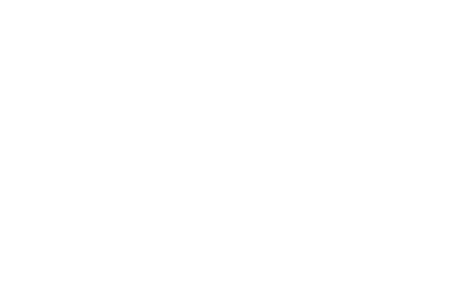 Carrefour Logo für dunkle Hintergründe (transparentes PNG)