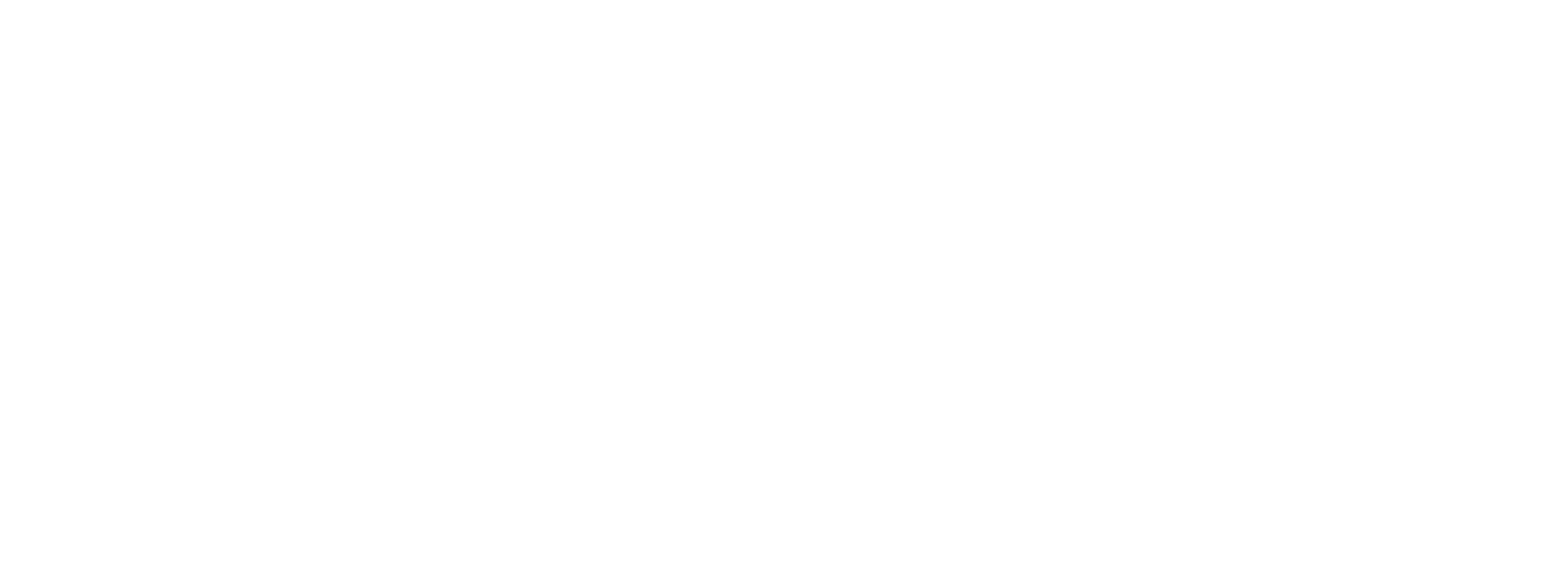 Carsales logo for dark backgrounds (transparent PNG)