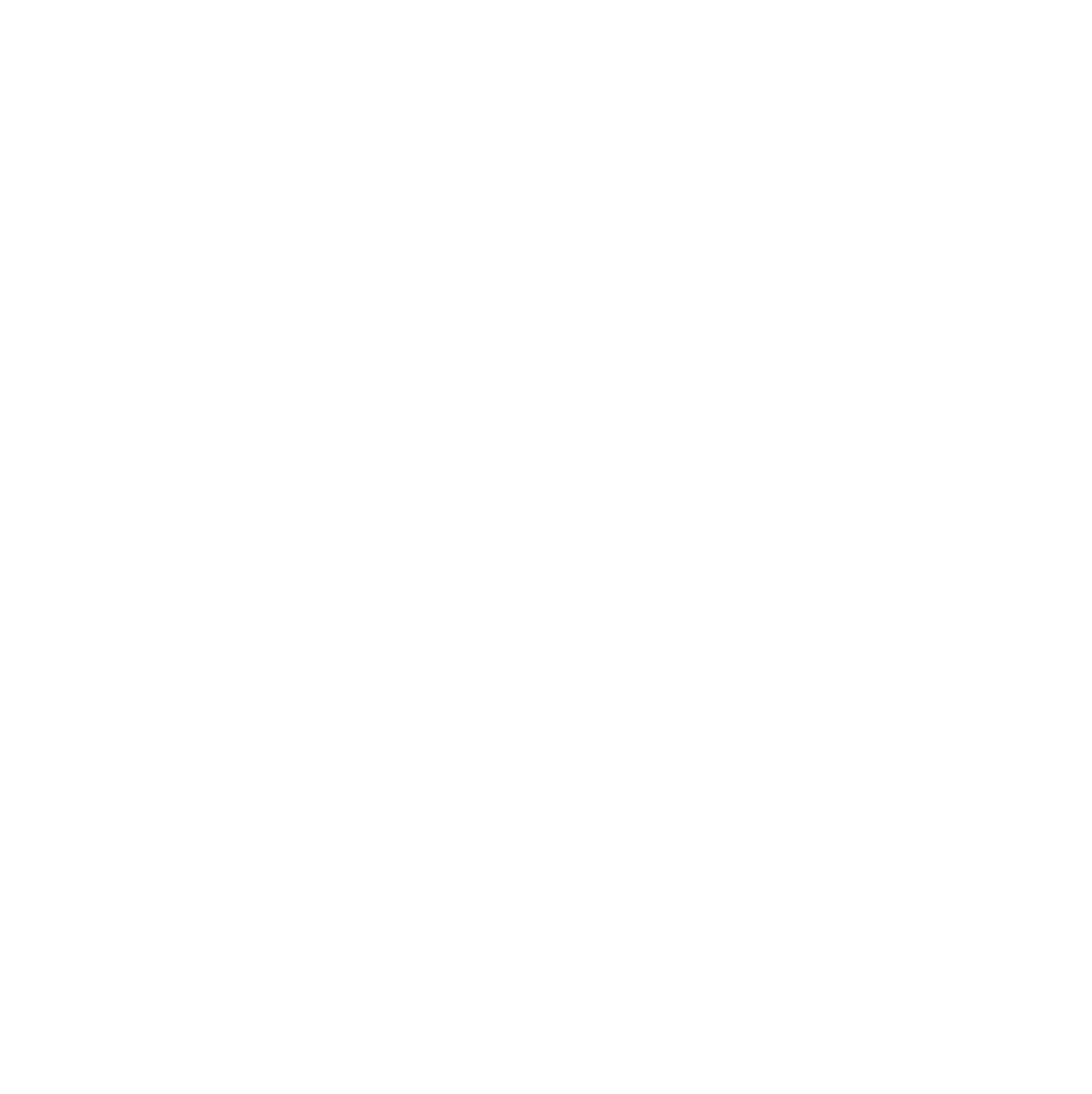 Castellum logo pour fonds sombres (PNG transparent)