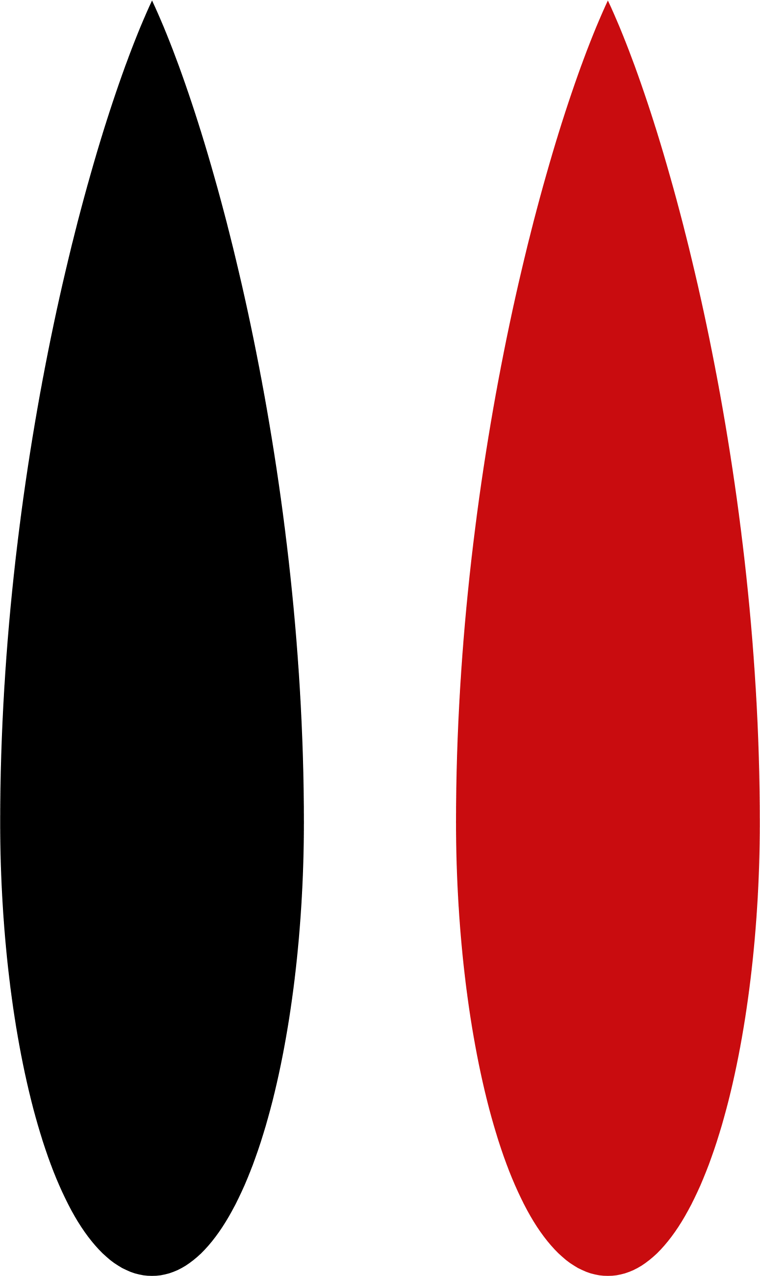 Catana Group logo (transparent PNG)