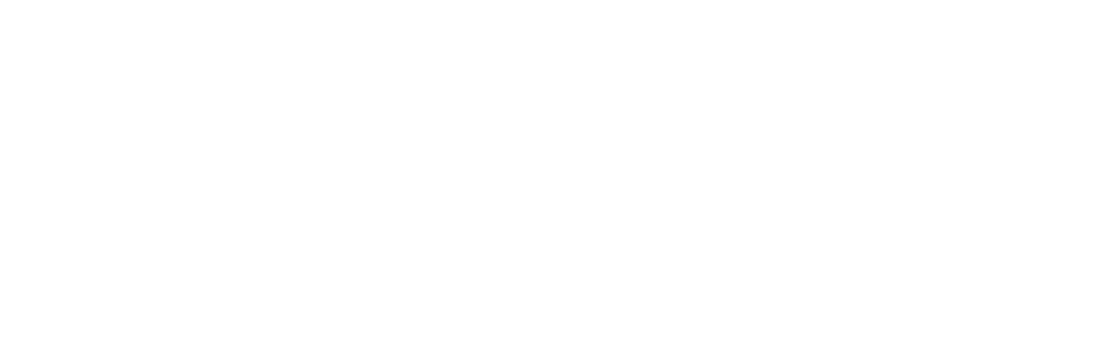 Caverion
 logo large for dark backgrounds (transparent PNG)