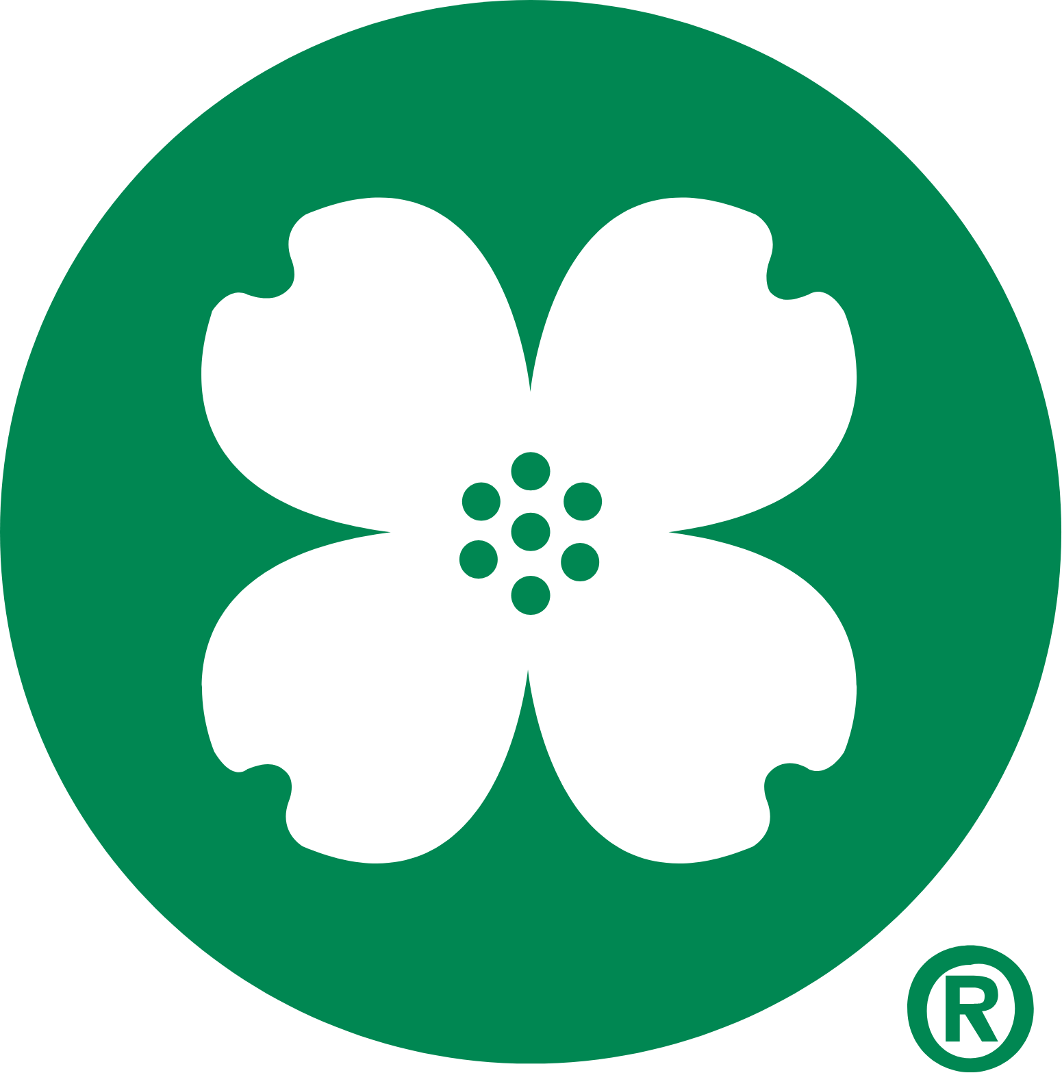 Central Bancompany Logo (transparentes PNG)