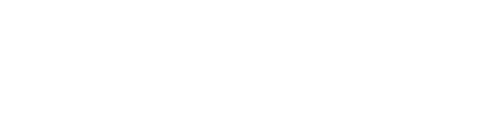 Chain Bridge Bancorp Logo groß für dunkle Hintergründe (transparentes PNG)