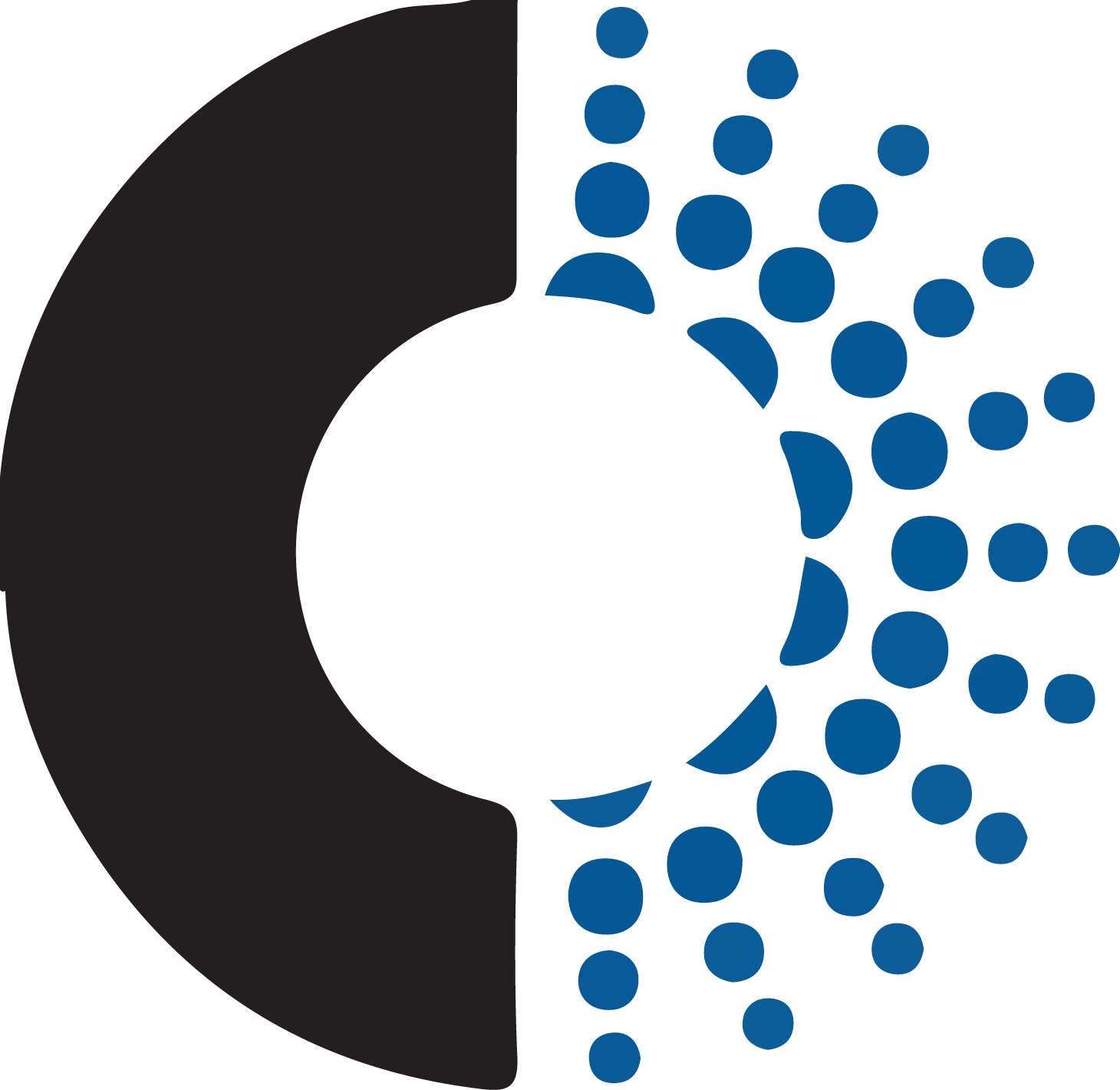 Chase Corporation logo (transparent PNG)