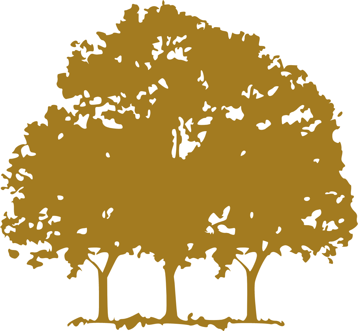 Canopy Growth logo (transparent PNG)