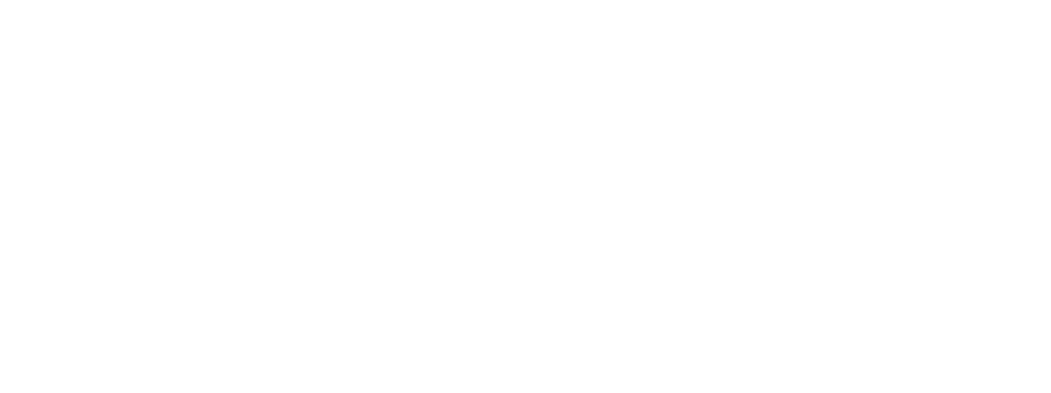Cognyte Software Logo groß für dunkle Hintergründe (transparentes PNG)