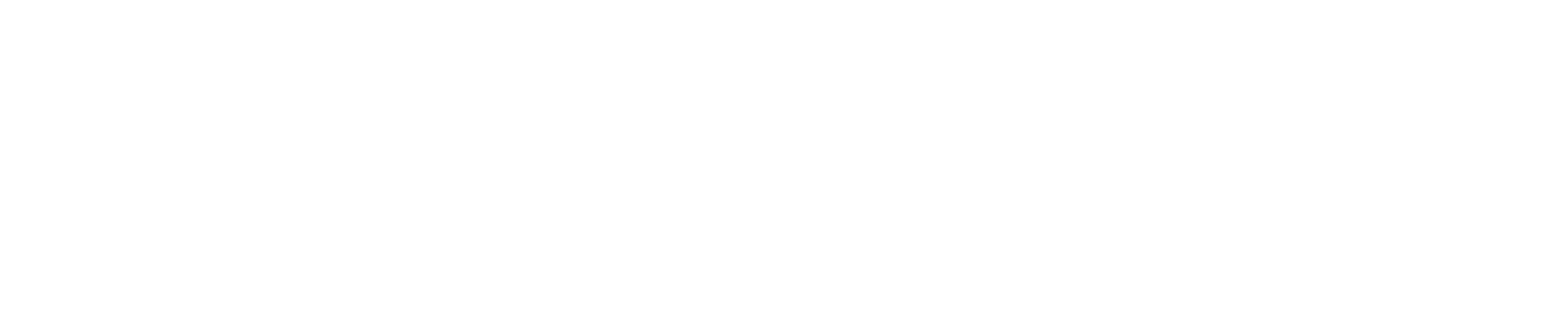 CIE Automotive
 Logo groß für dunkle Hintergründe (transparentes PNG)