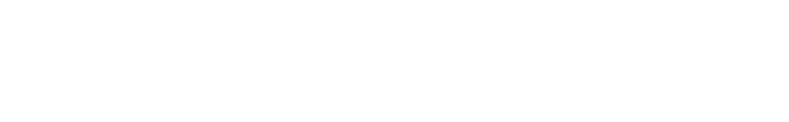 ConnectOne Bancorp logo large for dark backgrounds (transparent PNG)