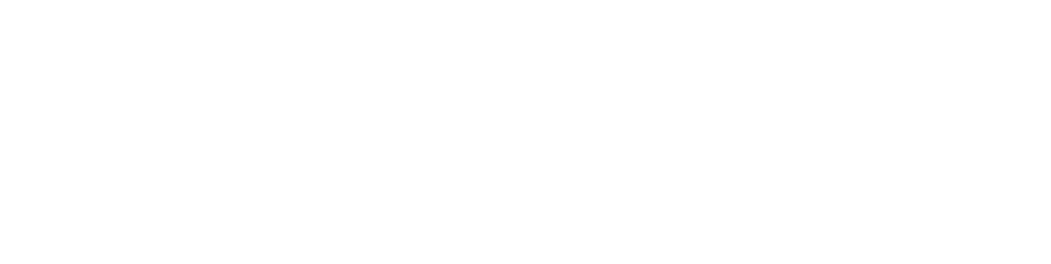 Connexa Sports Technologies logo large for dark backgrounds (transparent PNG)
