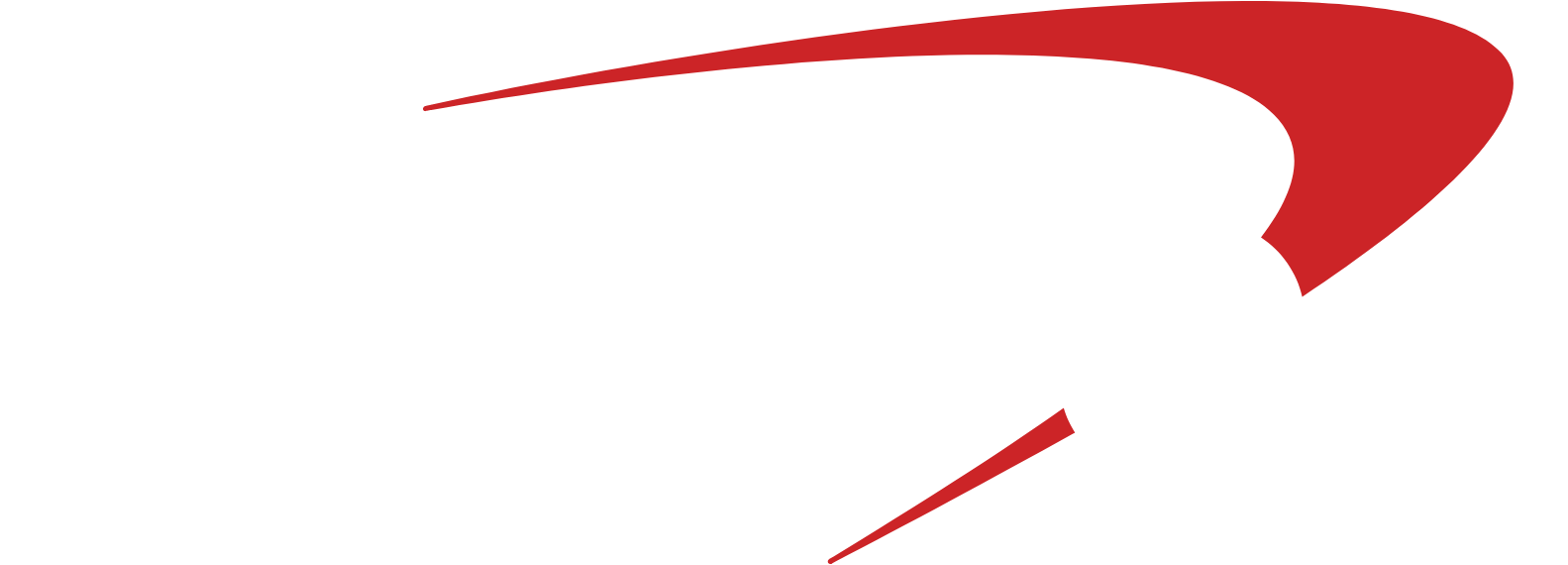 Capital One logo large for dark backgrounds (transparent PNG)