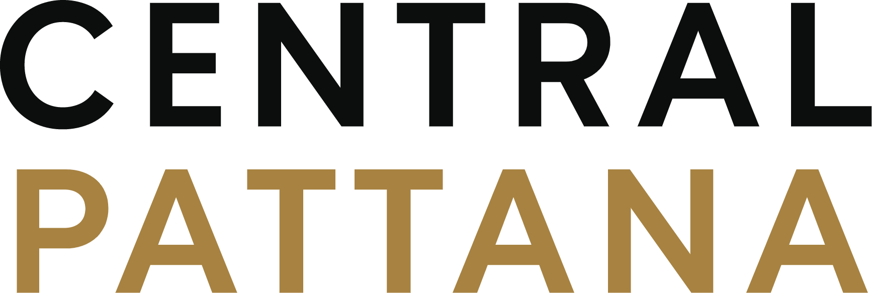 Central Pattana
 logo (PNG transparent)