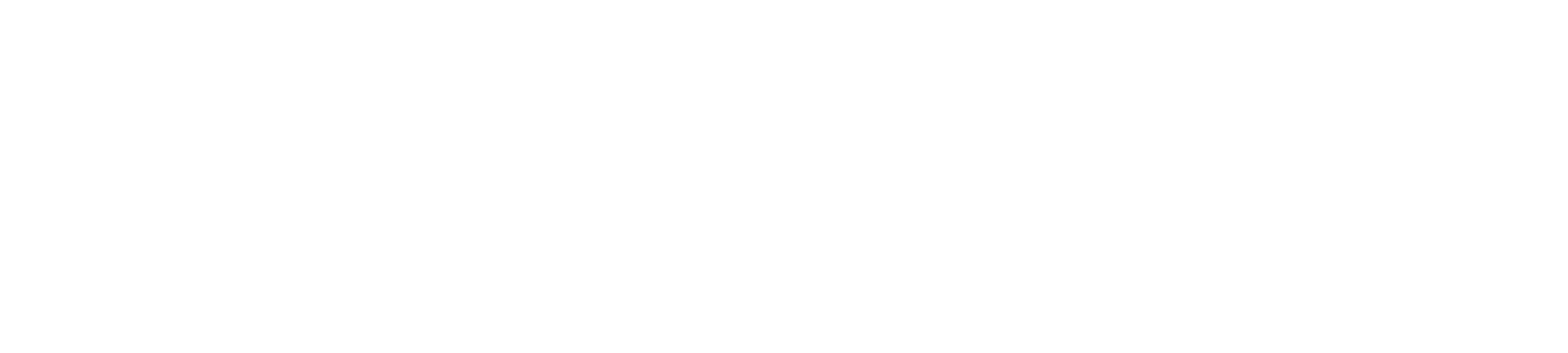 Coupang logo large for dark backgrounds (transparent PNG)