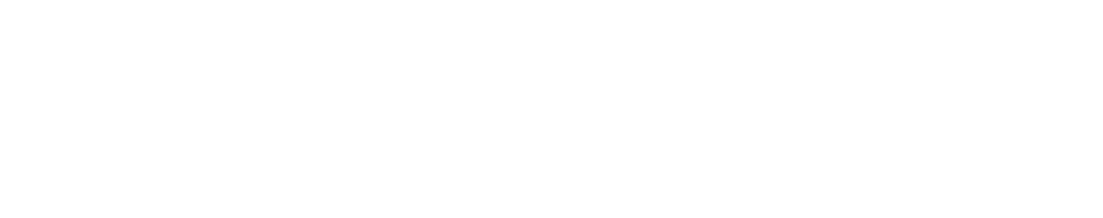 Ceragon Networks logo large for dark backgrounds (transparent PNG)