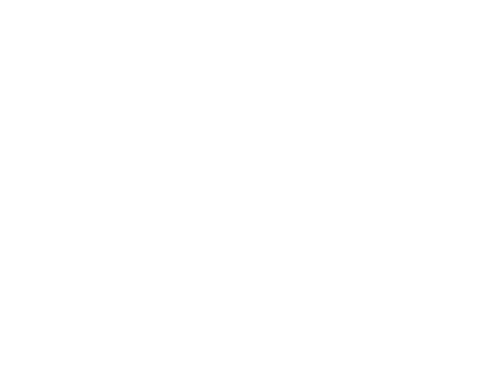 CrowdStrike Logo für dunkle Hintergründe (transparentes PNG)