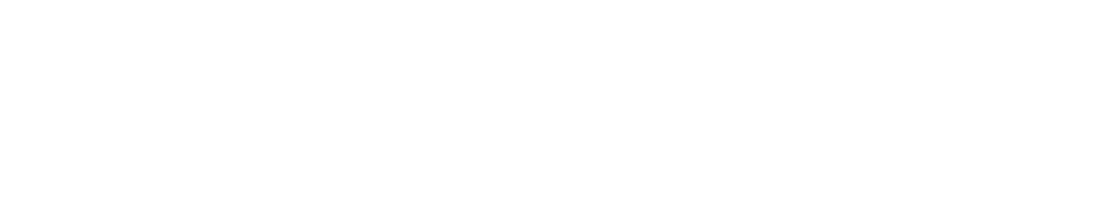 CrowdStrike logo large for dark backgrounds (transparent PNG)