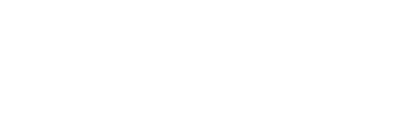 CSW Industrials
 logo grand pour les fonds sombres (PNG transparent)