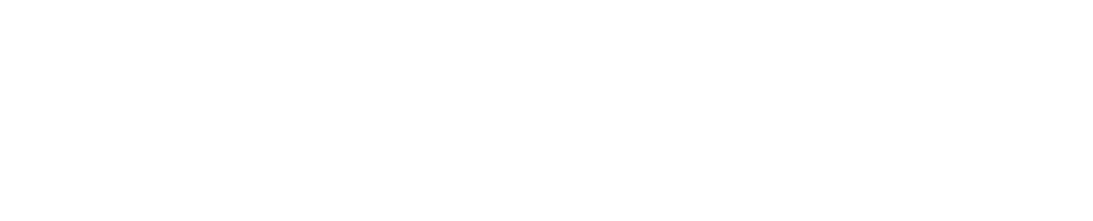 CTEK AB Logo für dunkle Hintergründe (transparentes PNG)