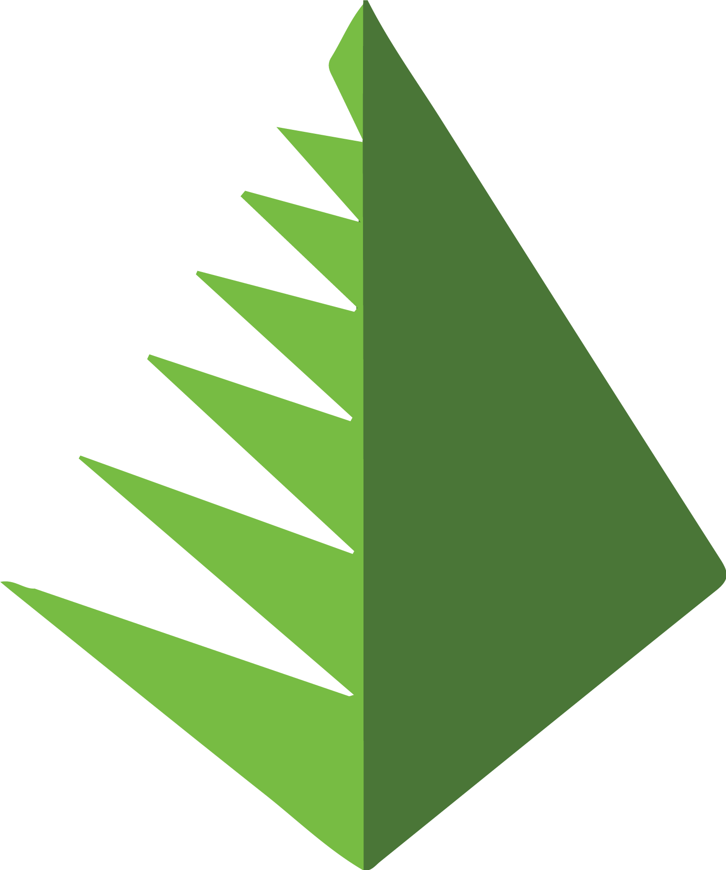CatchMark Timber Trust
 logo (PNG transparent)