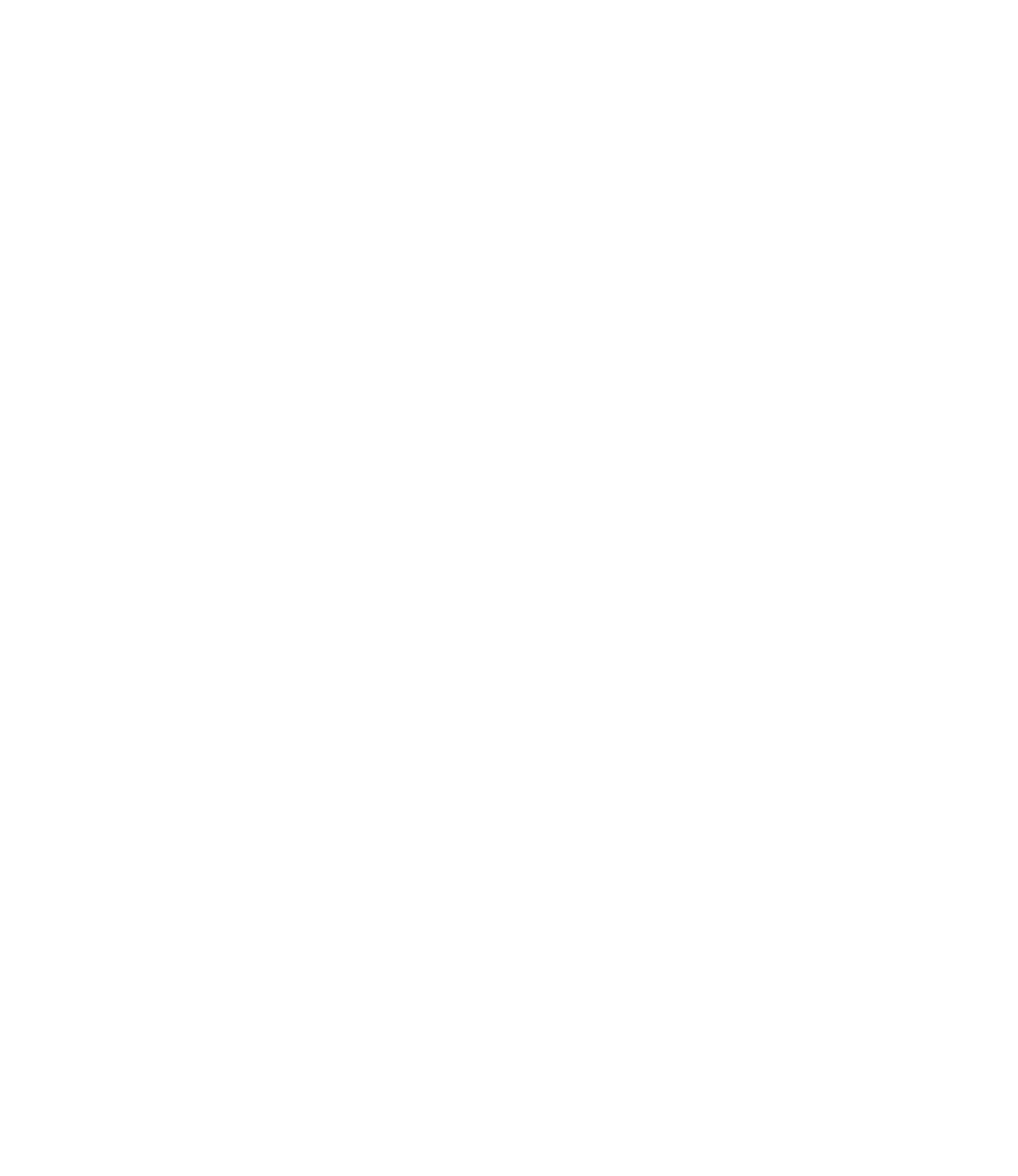 Citycon Logo für dunkle Hintergründe (transparentes PNG)