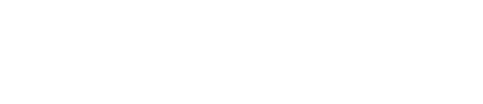 Citycon logo grand pour les fonds sombres (PNG transparent)