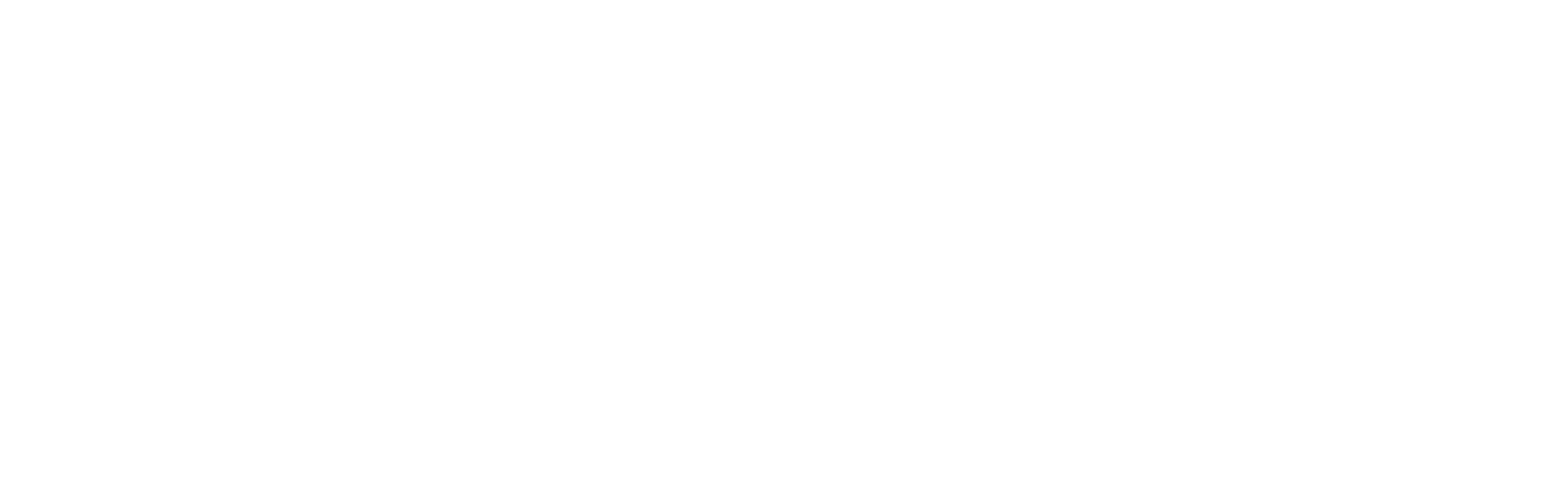 Torrid Logo für dunkle Hintergründe (transparentes PNG)