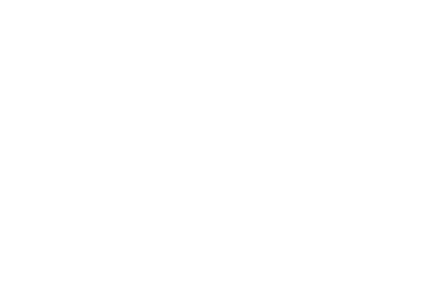 Clearwater Analytics logo for dark backgrounds (transparent PNG)