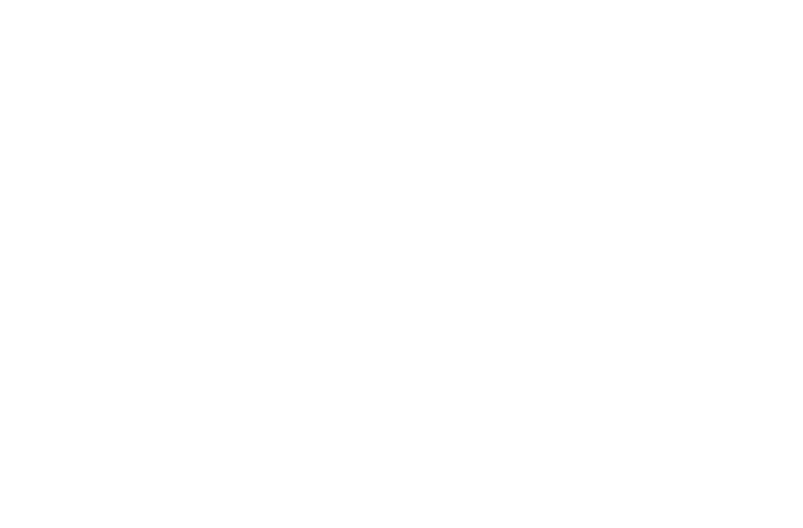 DFI Retail Group
 logo grand pour les fonds sombres (PNG transparent)