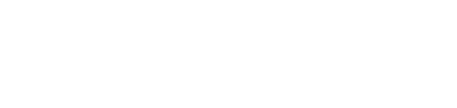 Dayforce logo large for dark backgrounds (transparent PNG)