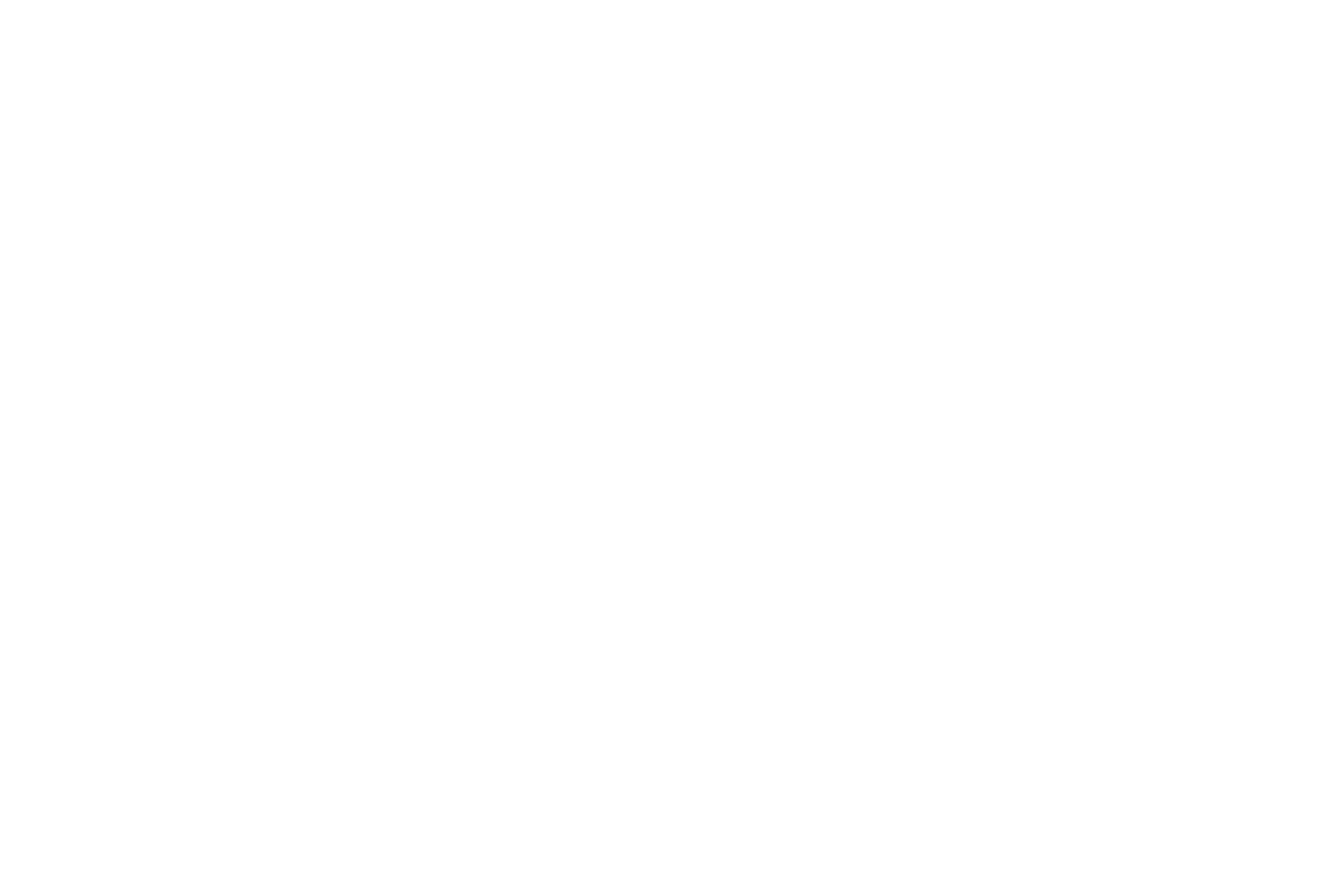 Dolphin Drilling Logo groß für dunkle Hintergründe (transparentes PNG)