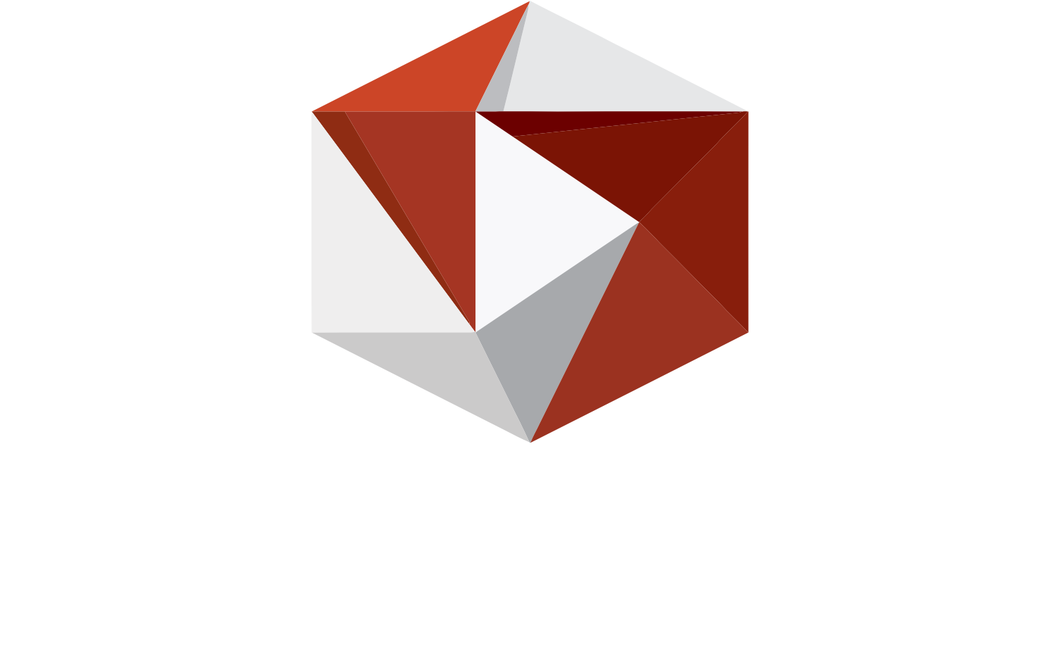 Playgon Games Logo groß für dunkle Hintergründe (transparentes PNG)