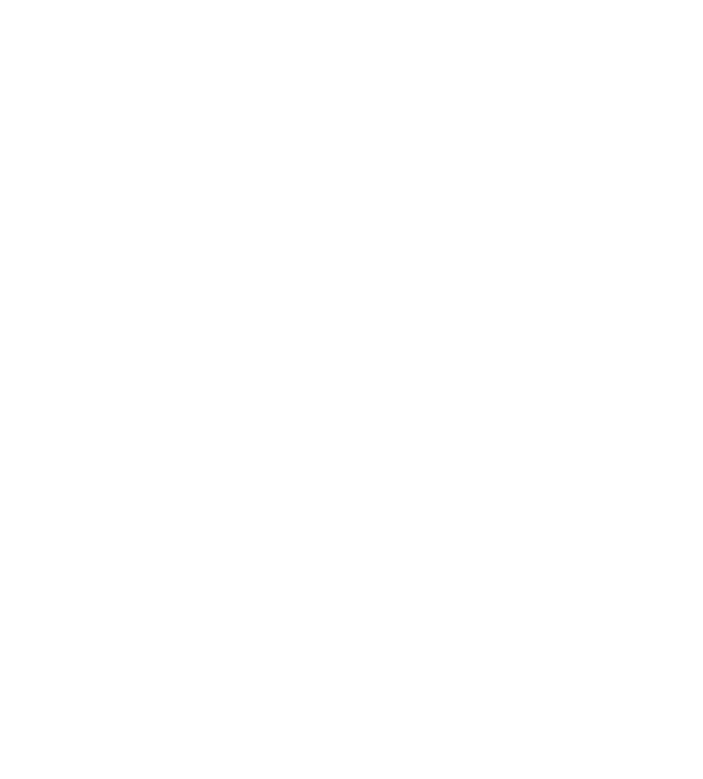 Demant logo pour fonds sombres (PNG transparent)