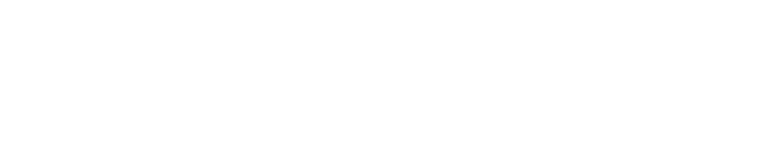 Demant logo large for dark backgrounds (transparent PNG)