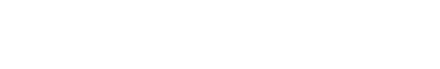 Dottikon ES logo fulle size on a dark background (transparent PNG)