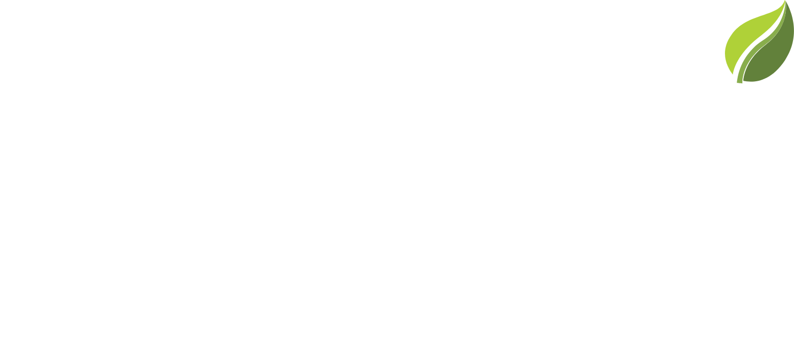 Devyani International logo grand pour les fonds sombres (PNG transparent)