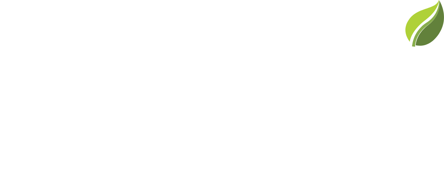 Devyani International logo fulle size on a dark background (transparent PNG)